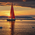 Midnight sun in Greenland